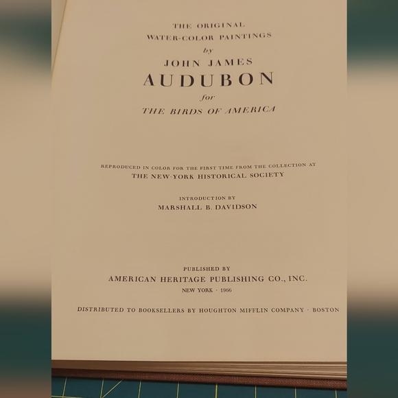 Ivory-billed Woodpeckers, extinct bird. John James Audubon - Picture 3 of 4